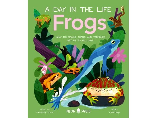 Frogs (a Day in the Life): What Do Frogs, Toads, and Tadpoles Get Up to All Day?