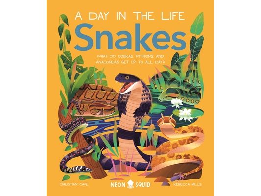 Snakes (a Day in the Life): What Do Cobras, Pythons, and Anacondas Get Up to All Day?