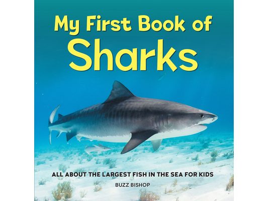My First Book of Sharks: All about the Largest Fish in the Sea for Kids