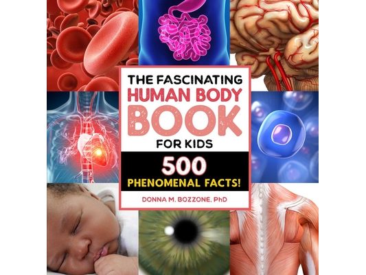 The Fascinating Human Body Book for Kids: 500 Phenomenal Facts!
