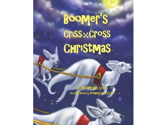 Boomer's Criss-Cross Christmas