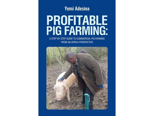 Profitable Pig Farming: A step by step guide to commercial pig farming from an Africa perspective: Pig farming in Africa