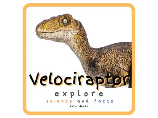 Velociraptor Explore Science and Facts: Everything Worth Knowing About Dinosaurs from Aardonyx to Zuniceratops