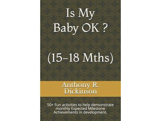 Is My Baby OK ? (15-18 Mths): 50+ Fun activities to help demonstrate monthly Expected Milestone Achievements in development.