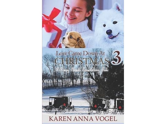 Love Came Down At Christmas 3: A Fancy Amish Smicksburg Tale