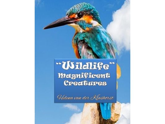Wildlife Magnificent Creatures: Grayscale coloring