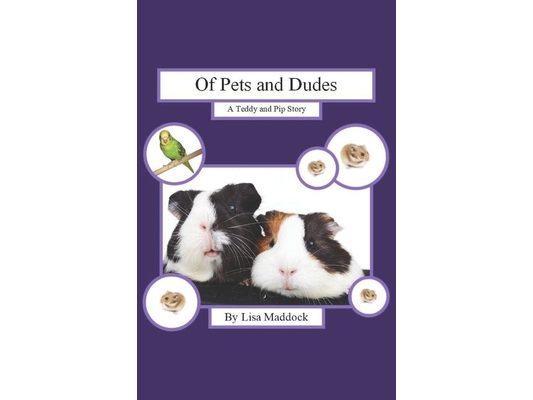Of Pets and Dudes: A Teddy and Pip Story
