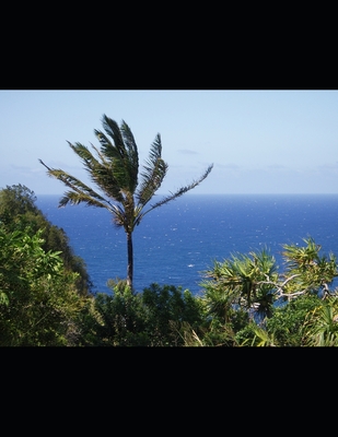 listing photo 1/1