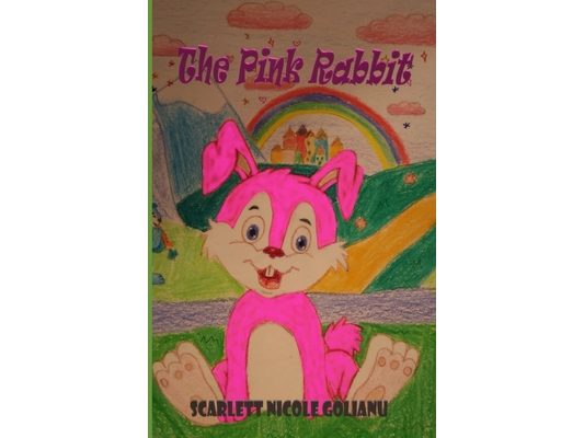 The Pink Rabbit