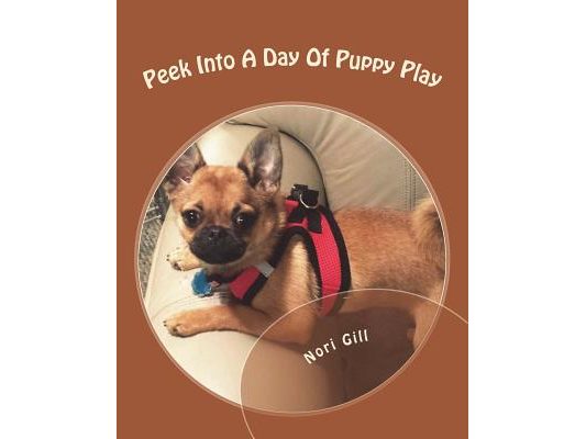 Peek Into A Day Of Puppy Play