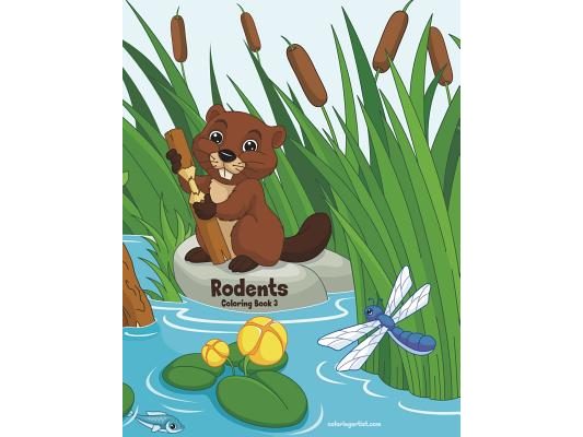 Rodents Coloring Book 3