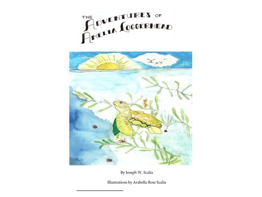 The Adventures of Amelia Loggerhead
