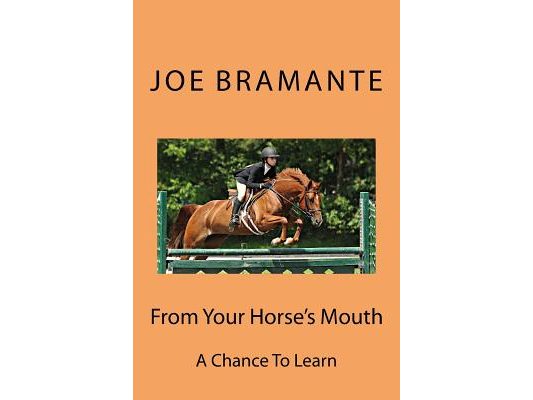 From Your Horse's Mouth: A Chance To Learn