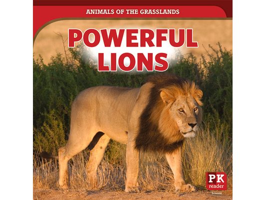 Powerful Lions