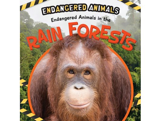 Endangered Animals in the Rain Forest