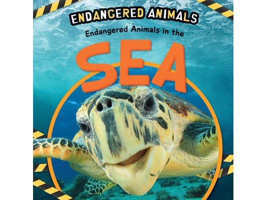 Endangered Animals in the Sea
