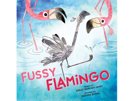 Fussy Flamingo