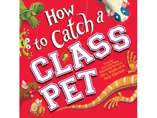 How to Catch a Class Pet
