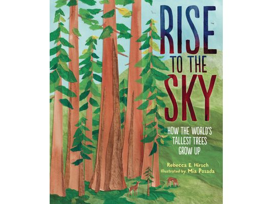 Rise to the Sky: How the World's Tallest Trees Grow Up