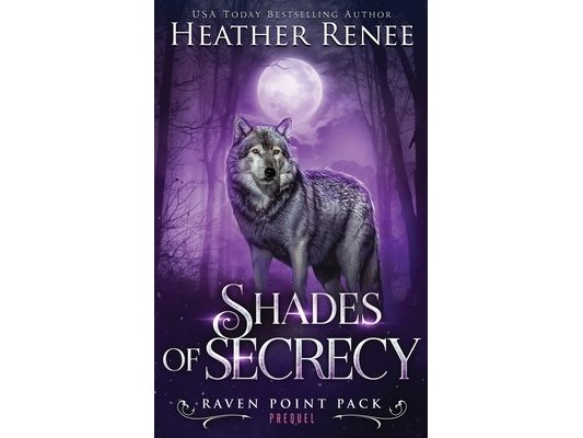 Shades of Secrecy: Prequel Novella