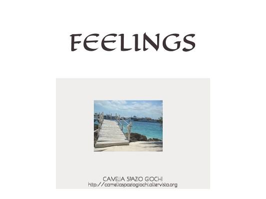 Feelings