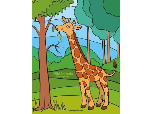 Wild Animals Coloring Book 3