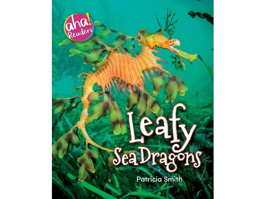 Leafy Sea Dragons