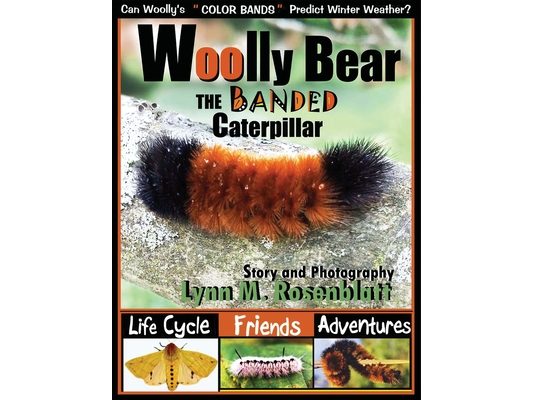 Woolly Bear the Banded Caterpillar: Life Cycle, Friends and Adventures