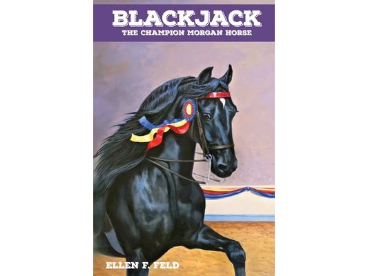 Blackjack: The Champion Morgan Horse