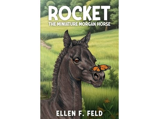 Rocket: The Miniature Morgan Horse