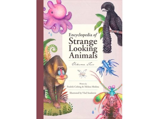 Encyclopedia of Strange Looking Animals