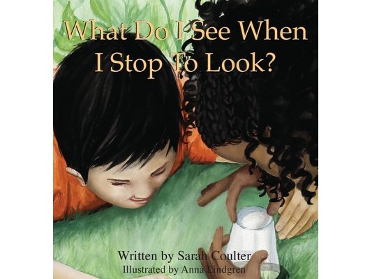 What Do I See When I Stop To Look?
