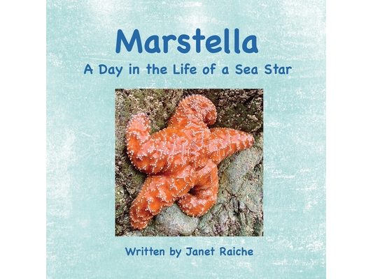 Marstella: A Day in the Life of a Sea Star