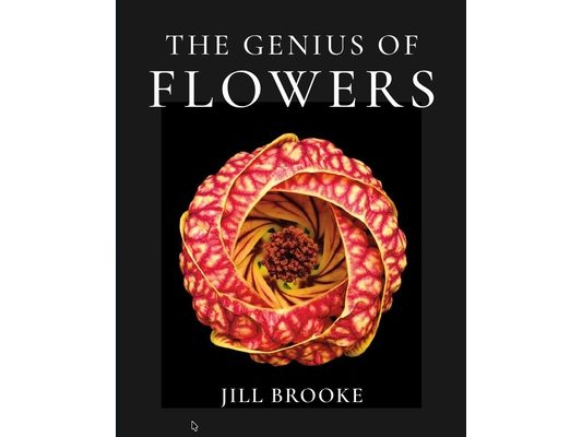 The Genius of Flowers: What Life's Most Beautiful Creations Can Teach Us
