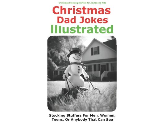 Stocking Stuffers for Adults and Kids: Christmas Dad Jokes Illustrated: Stocking Stuffers for Men, Women, Teens, Kids and Anyone That Can See
