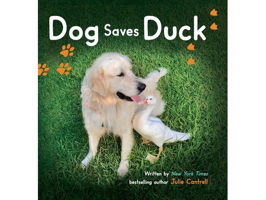 Dog Saves Duck