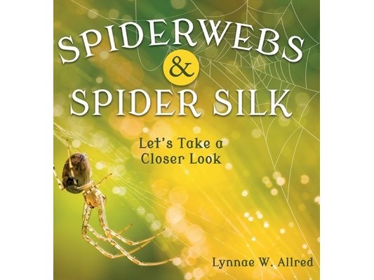 Spiderwebs and Spider Silk: Let's Take a Closer Look