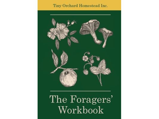 The Foragers' Workbook