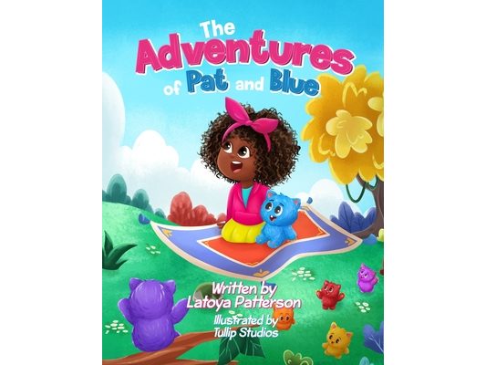 The Adventures of Pat and Blue: Book 1: The Quest for the Missing Groo
