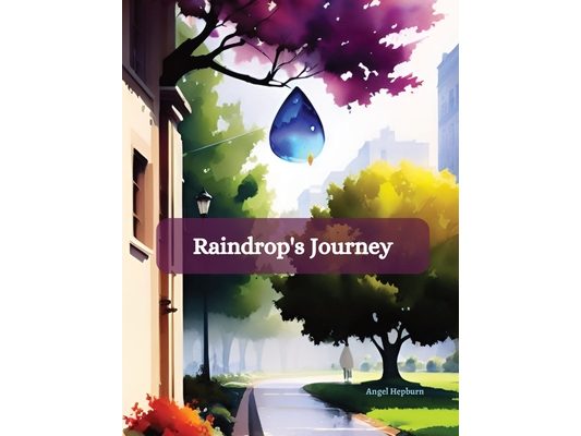 Raindrop's Journey