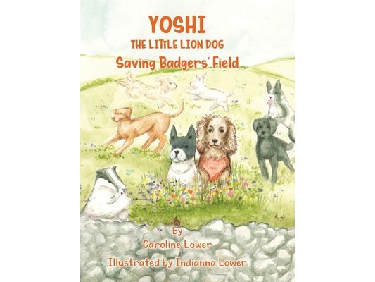 Yoshi: Saving Badgers' Field