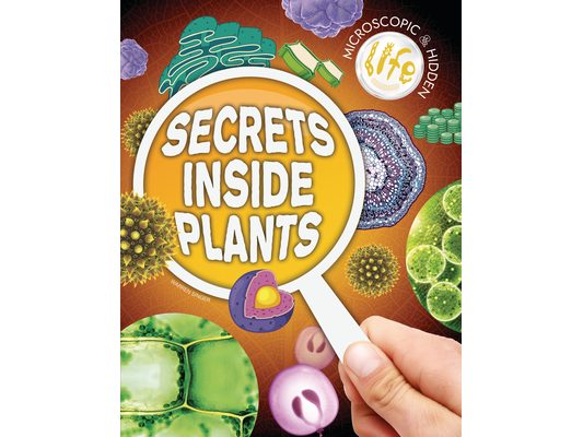 Secrets Inside Plants