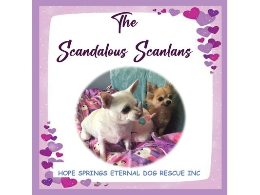 The Scandalous Scanlan's
