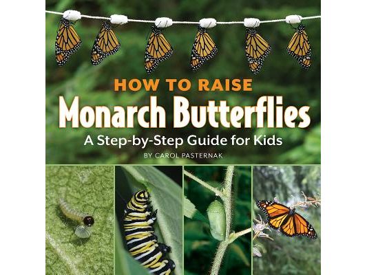 How to Raise Monarch Butterflies: A Step-By-Step Guide for Kids