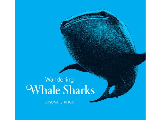 Wandering Whale Sharks