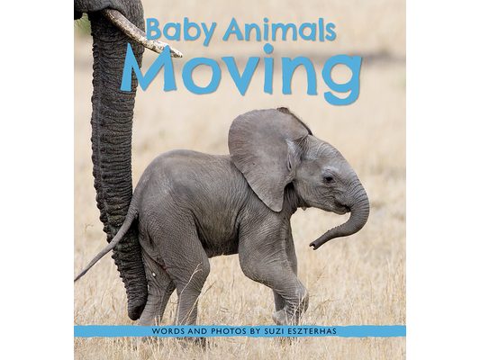 Baby Animals Moving
