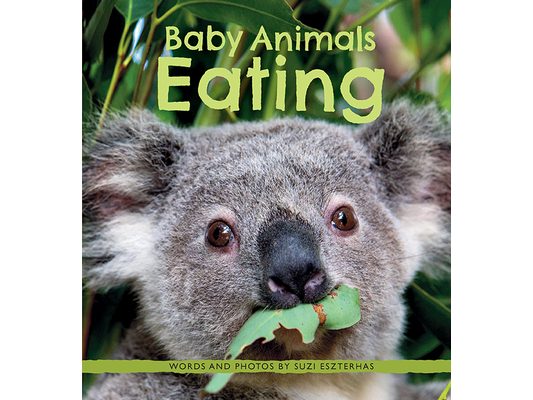 Baby Animals Eating