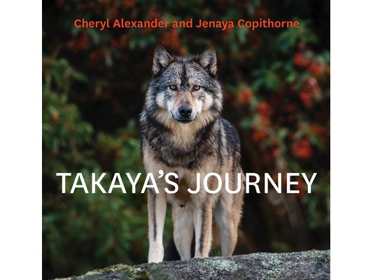 Takaya's Journey