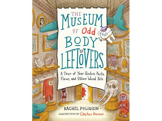 The Museum of Odd Body Leftovers: A Tour of Your Useless Parts, Flaws, and Other Weird Bits
