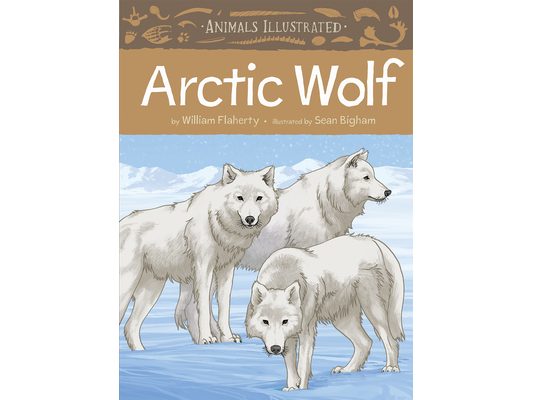 Animals Illustrated: Arctic Wolf